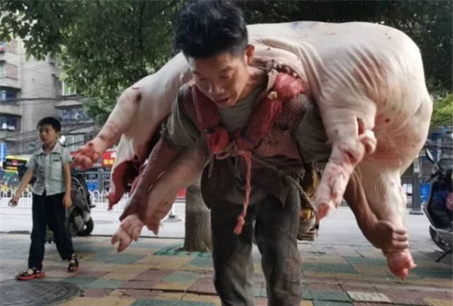 贵阳60公斤的"背肉汉",480斤的猪往身上扛,扛的是生活的重担