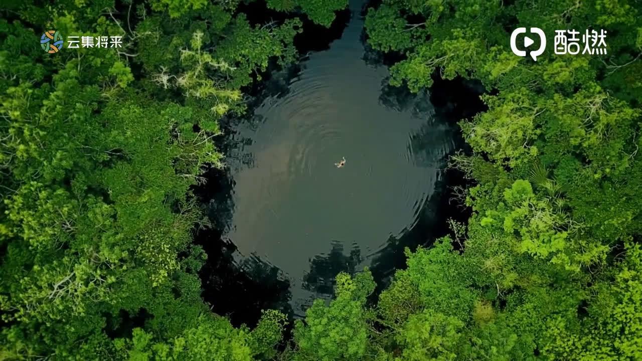 当年小行星撞击地球的遗址造就了自由深潜的胜地