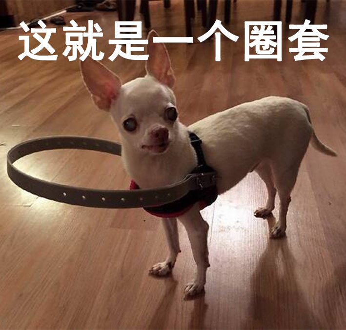 2020又怎样?你这是看不起我天选之子咯