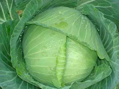 28岁女子,查出胃癌,3个月后离世,这食物不能长期当“饭”吃休闲区蓝鸢梦想 - Www.slyday.coM 28岁女子,查出胃癌,3个月后离世,这食物不能长期当“饭”吃休闲区蓝鸢梦想 - Www.slyday.coM