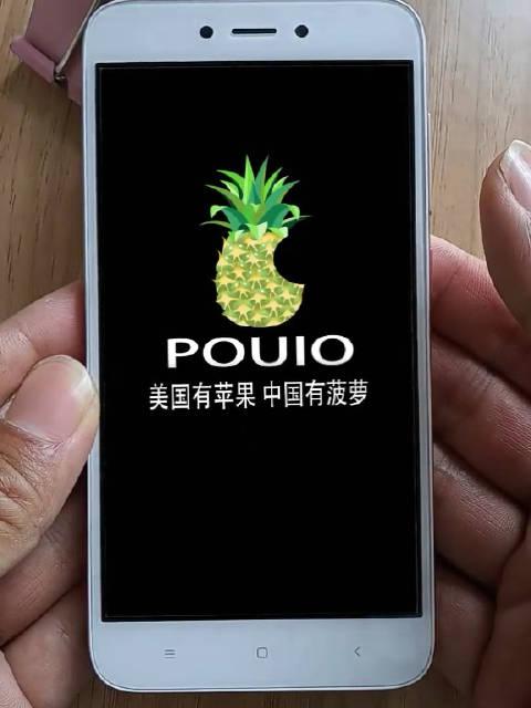 苹果你说你起诉菠萝手机我们还想得通