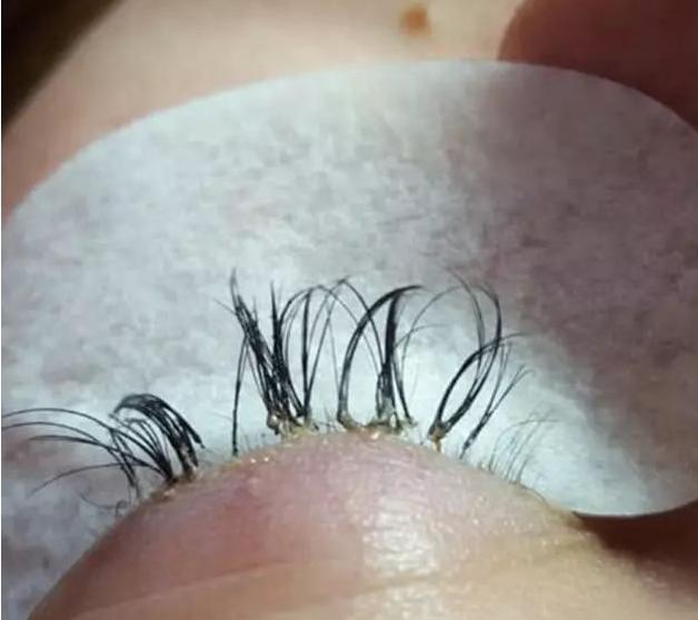 迪丽热巴的"蒙面杀",这点太绝了|睫毛|毛囊|假睫毛_新浪新闻