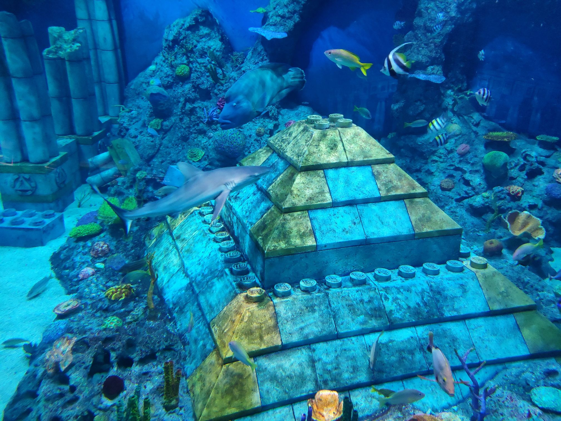 海南又一水族馆走红海王就曾在此取景距亚龙湾半小时车程