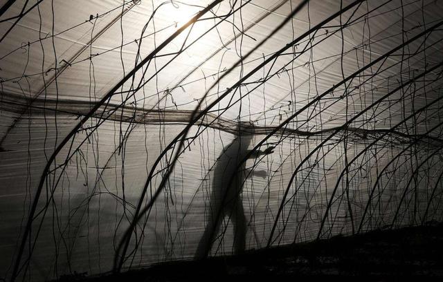 "父亲的出轨对象,是我的小姨,我该怎么让母亲走出阴影?