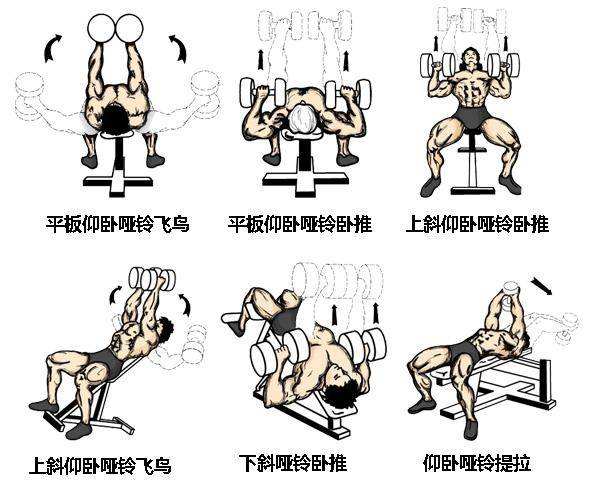 熵道出自然规则的热力学单位所以对抗自然规则的你很难自律