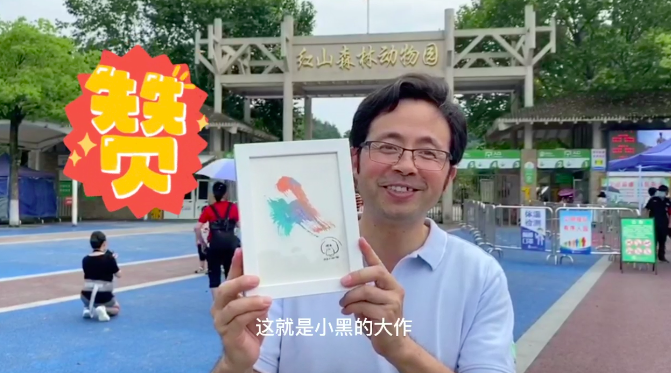 南京网红动物园上飞猪直播,园长:欢迎大家来"报复"我