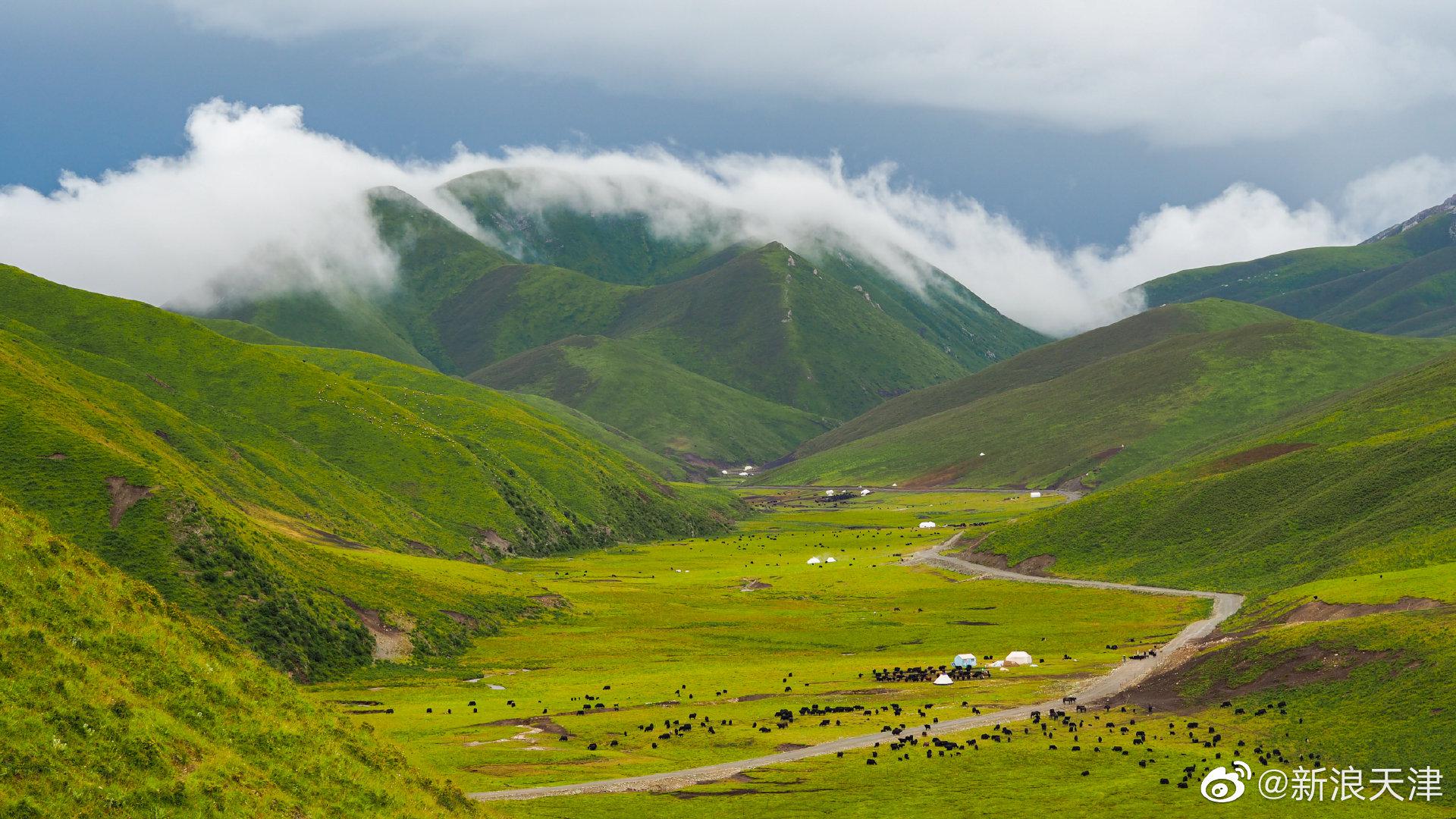 黄南藏族自治州位于青海省东南部……|黄南藏族自治州|青海省|自然