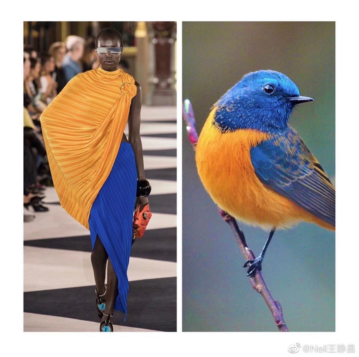 秀场上的服装设计与大自然的惊人相似Ⅱ