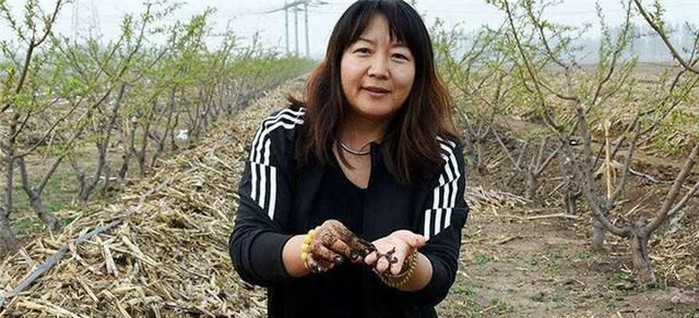 年放弃200万年薪,跑到农村养蚯蚓的女博士,现在怎样了休闲区蓝鸢梦想 - Www.slyday.coM 年放弃200万年薪,跑到农村养蚯蚓的女博士,现在怎样了休闲区蓝鸢梦想 - Www.slyday.coM