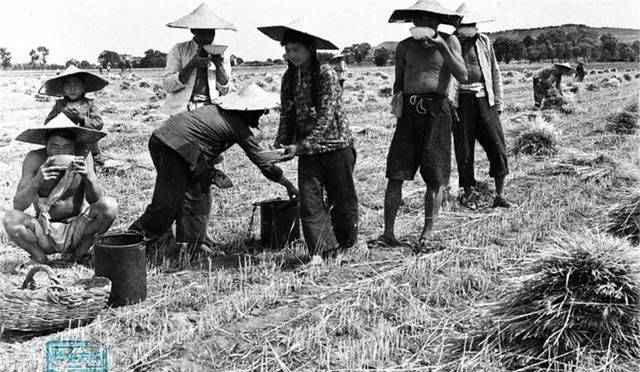 1970年代公社社员们生活劳动画面末图是生产队交公粮的场面