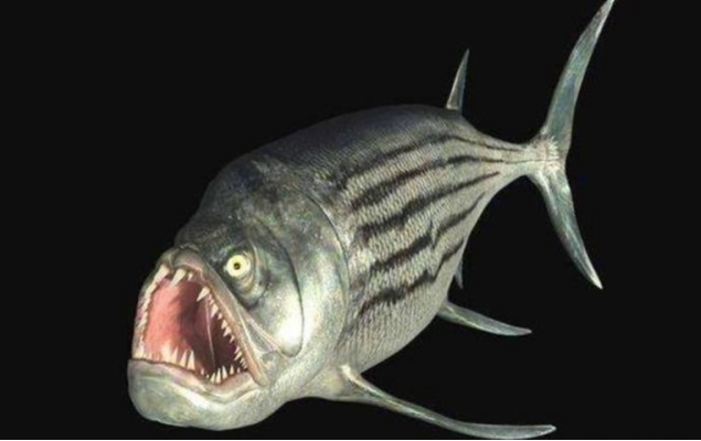 是白垩纪最恐怖的鱼类之一,牙齿跟针那么尖|巴塔哥尼亚|鱼|化石_新浪