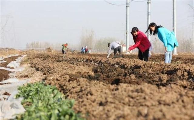 年放弃200万年薪,跑到农村养蚯蚓的女博士,现在怎样了休闲区蓝鸢梦想 - Www.slyday.coM 年放弃200万年薪,跑到农村养蚯蚓的女博士,现在怎样了休闲区蓝鸢梦想 - Www.slyday.coM