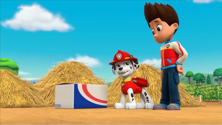 汪汪队:这里有个神秘箱子,没人打开它,还是由狗狗带回基地吧