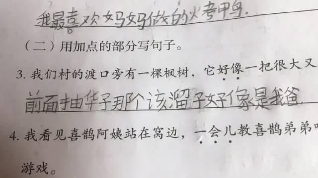 小学生的造句水平都这么高吗_新浪新闻