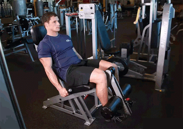 练腿虽苦但好处多,4个动作,强健你的下肢|双腿|杠铃深蹲|蹬车_新浪