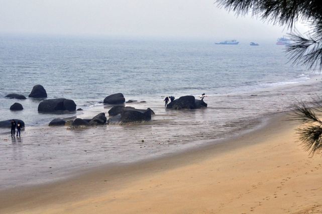 沙滩巨型珍珠遭疯抢专家说出真相后游客们撒腿就跑