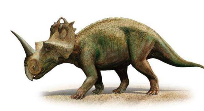 在现代设备的检测下,古生物学家们发现导致这只尖角龙腿部畸形的原因