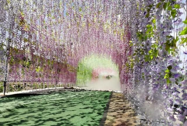 一年看变化广安大地花谷拍了拍你叫你来耍