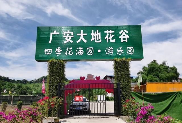 一年看变化|广安大地花谷拍了拍你,叫你来耍!|广安|大地|紫藤_新浪新