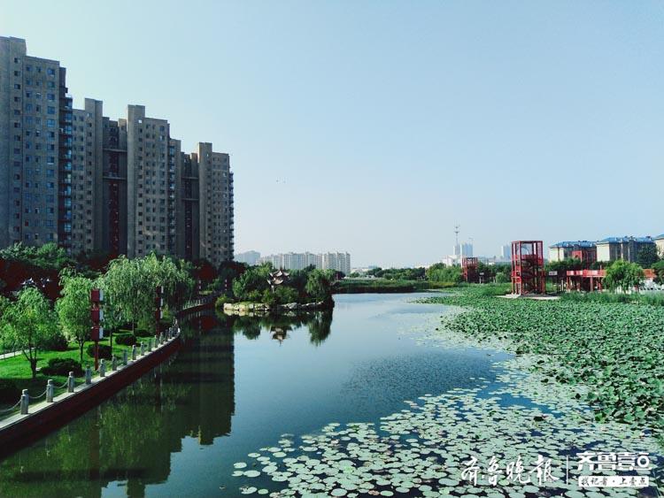 大雨過後,濱州中海公園湖面水位上漲.