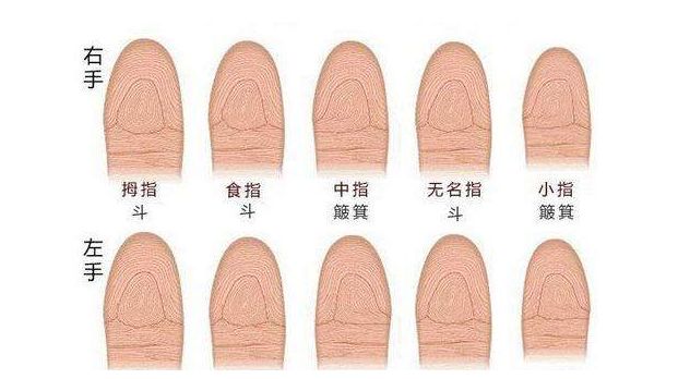 手指指纹是孔雀眼这种指纹一般像圆形,最里面的圆形图案像孔雀的眼睛.