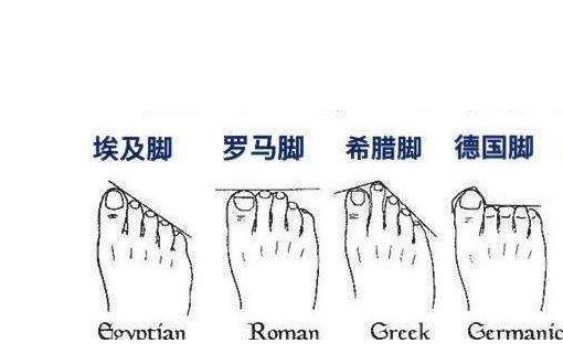 从一个人的脚型看命运，谁是大富大贵之相？谁又是操心之命？|脚趾|罗马|埃及_新浪新闻