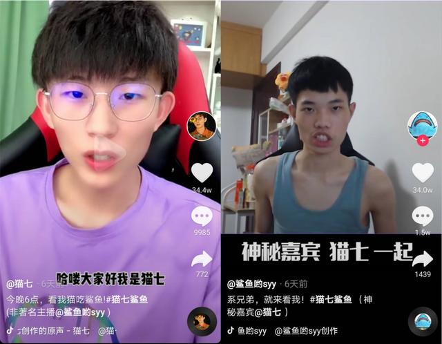 和平精英:猫鲨组合成立!猫七和鲨鱼将要携手征战和平精英?
