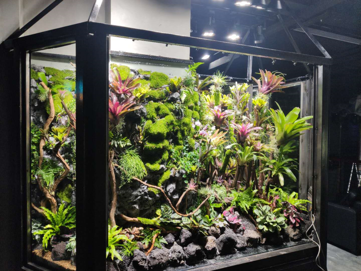 庭院设计施工;生态缸造景;绿化设计等特别声明:以上文章内容仅代表