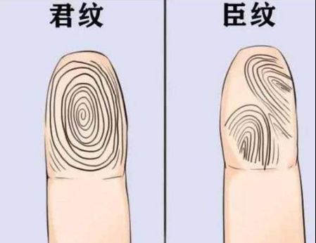 每个手指上的纹理也各不相同.