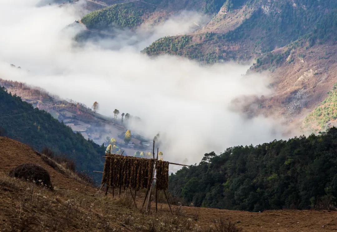 泸山|凉山州|凉山_新浪新闻