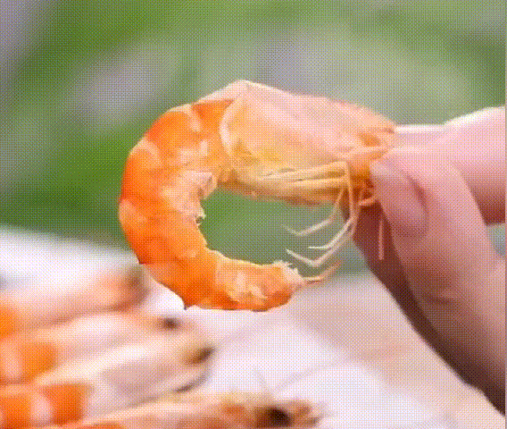 568_480gif 动态图 动图