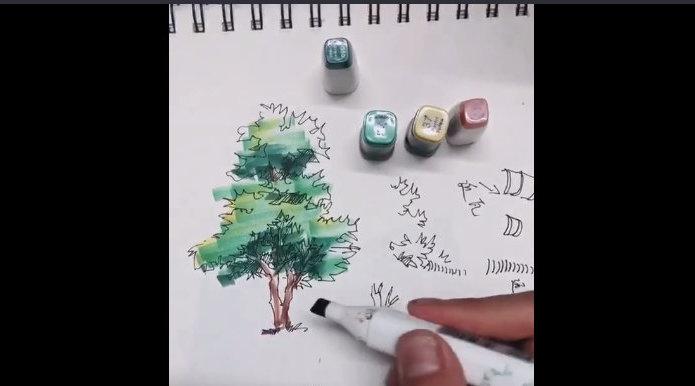 画风景一定要会画树,马克笔手绘树的教程来啦 白砚堂主_新浪新闻
