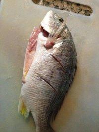 黄枪鱼一条做法 共9个步骤葱白适量姜适量盐适量油适量辅料:鱼1条主料