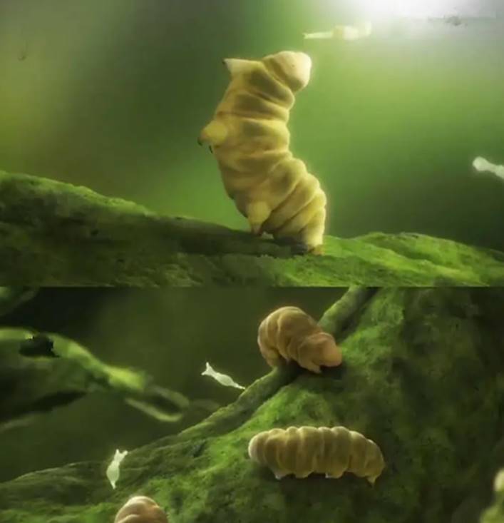 地球生命力最强的水熊虫若被送到木卫二还能生存吗