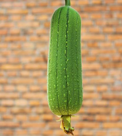 夏天,多吃这菜,清热解暑,香甜可口,家人都超喜欢吃|丝瓜络|丝瓜|大蒜