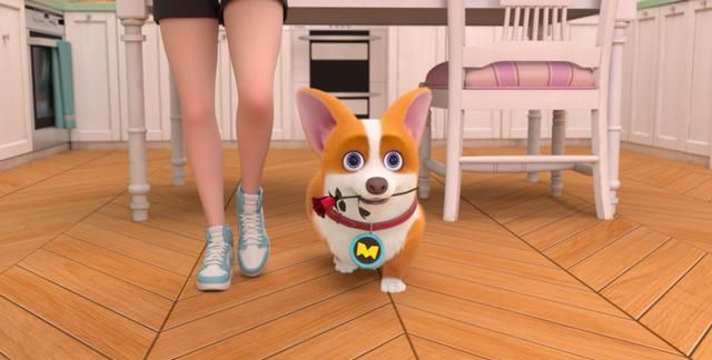 飞狗moco番外篇那些生活中的小确幸要靠自己去发现