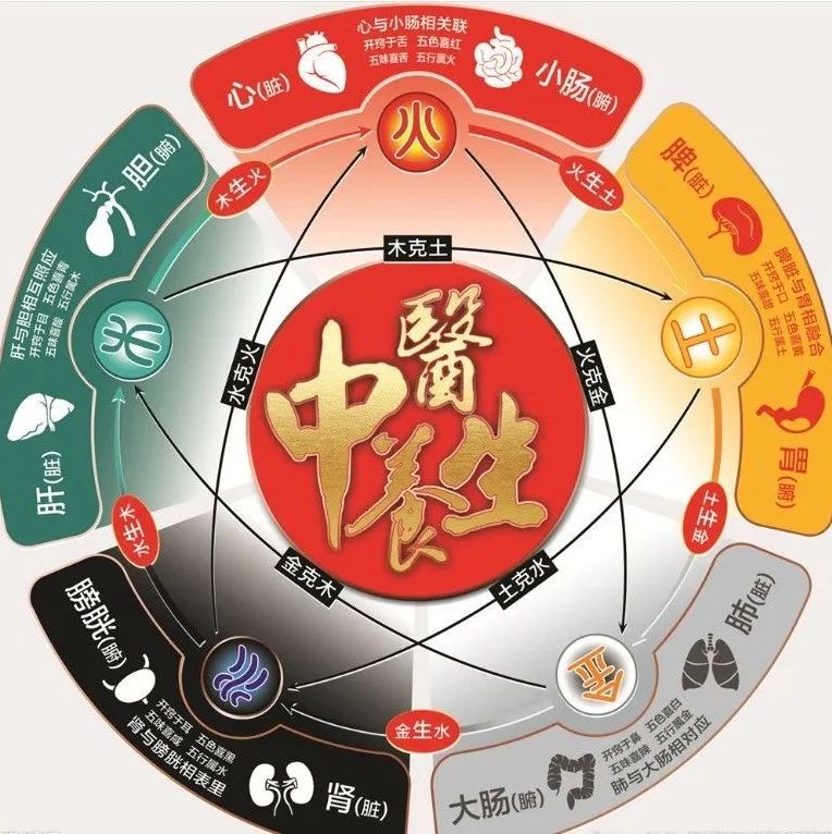 身体的五大黄金:心肝脾肺肾(全面讲解)|五脏|五脏六腑|六腑|表里|五行_新浪新闻