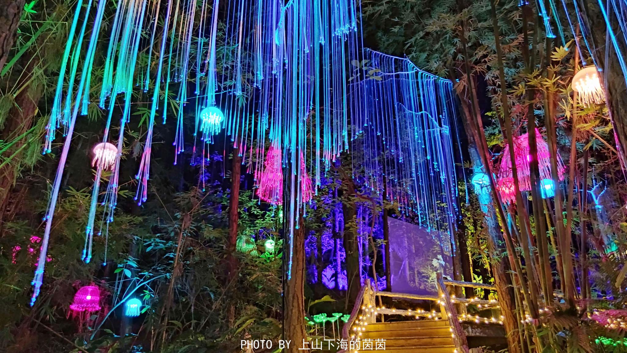 2020广东新晋网红打卡夜游森波拉森境光影享用一场视觉盛宴