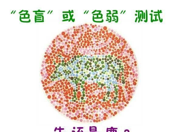 这五张色盲图,看看你是色盲还是色弱,第四张是一只鹿还是一头牛