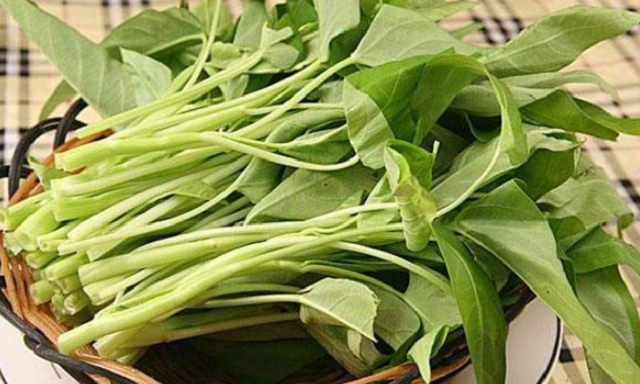 空心菜有4个品种,只有它是所有通菜中的"爱马仕",有钱也难买