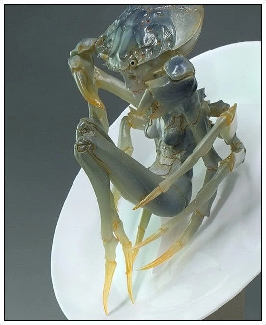 当美术生吃完了螃蟹蟹壳也成为了艺术品网友这是外星来的