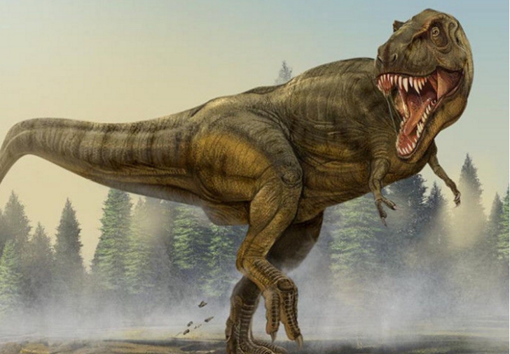 科学家给出4种推测|霸王龙|前肢|科学家_新浪新闻