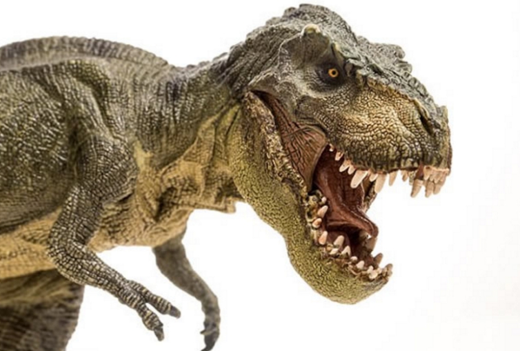 霸王龙的小短手是用来做什么的?科学家给出4种推测