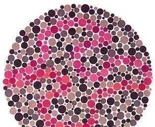 在第四幅图中,一个正常人看到了一头牛,而色盲或弱视的人看到了一头鹿