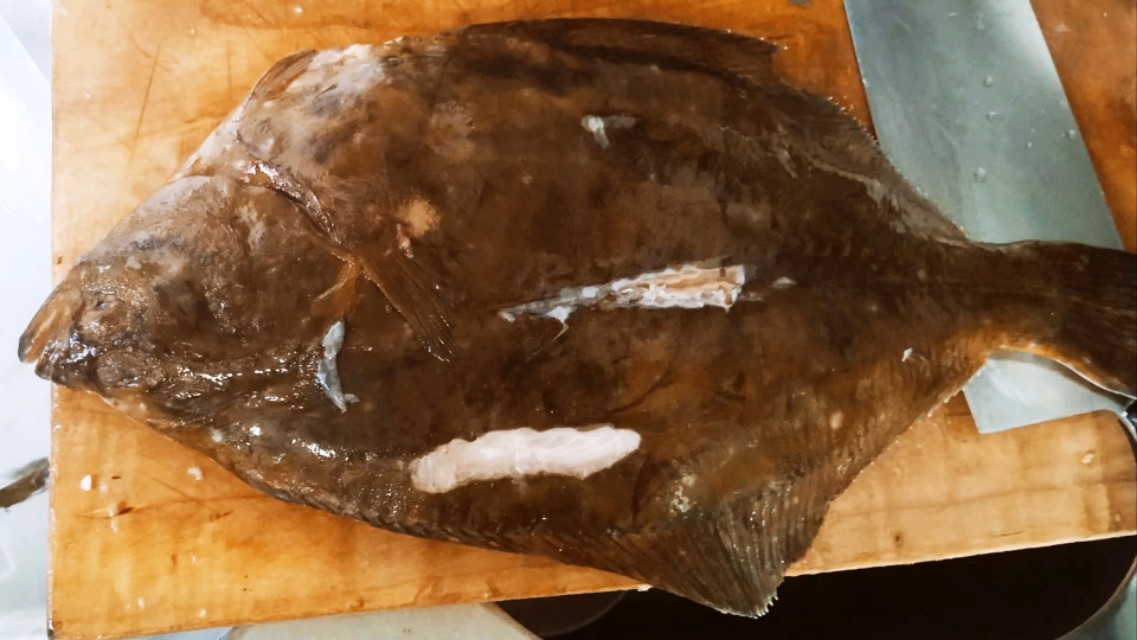 大连人管这鱼叫石疆子纯野生无养殖用来煎焖特别美味