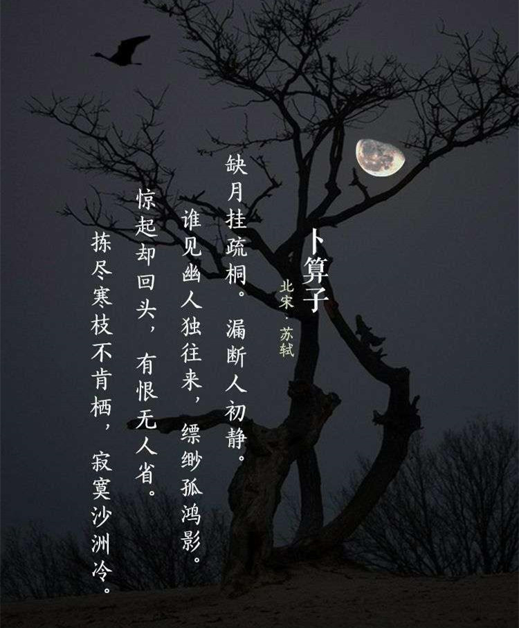 苏东坡被贬黄州途中遇雨写下人生最旷达的一首词常人难及