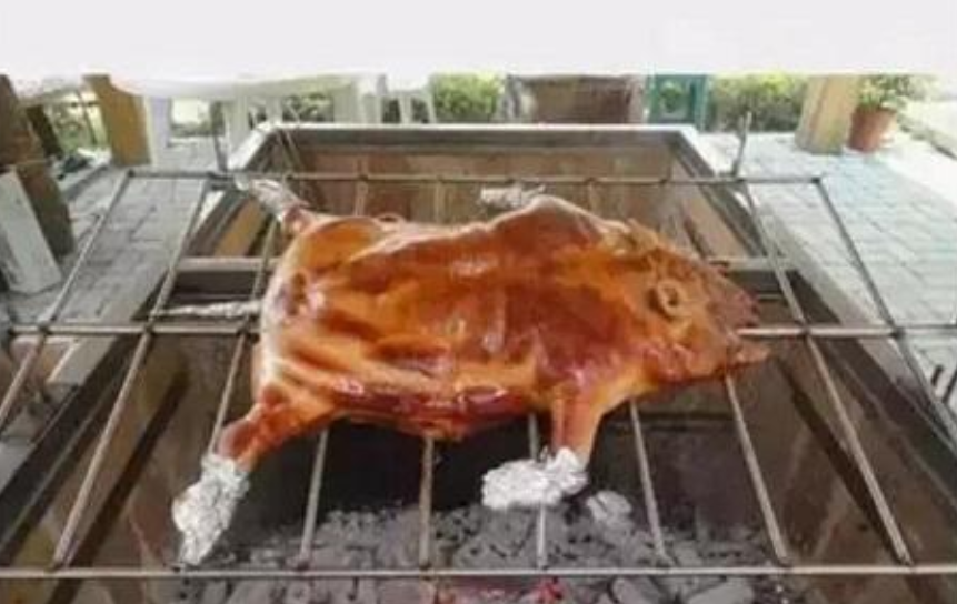 女孩开网店卖宠物猪,看到这位买家的评论,她决定把店关了!休闲区蓝鸢梦想 - Www.slyday.coM 女孩开网店卖宠物猪,看到这位买家的评论,她决定把店关了!休闲区蓝鸢梦想 - Www.slyday.coM