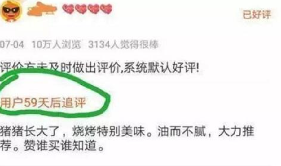 女孩开网店卖宠物猪,看到这位买家的评论,她决定把店关了!休闲区蓝鸢梦想 - Www.slyday.coM 女孩开网店卖宠物猪,看到这位买家的评论,她决定把店关了!休闲区蓝鸢梦想 - Www.slyday.coM