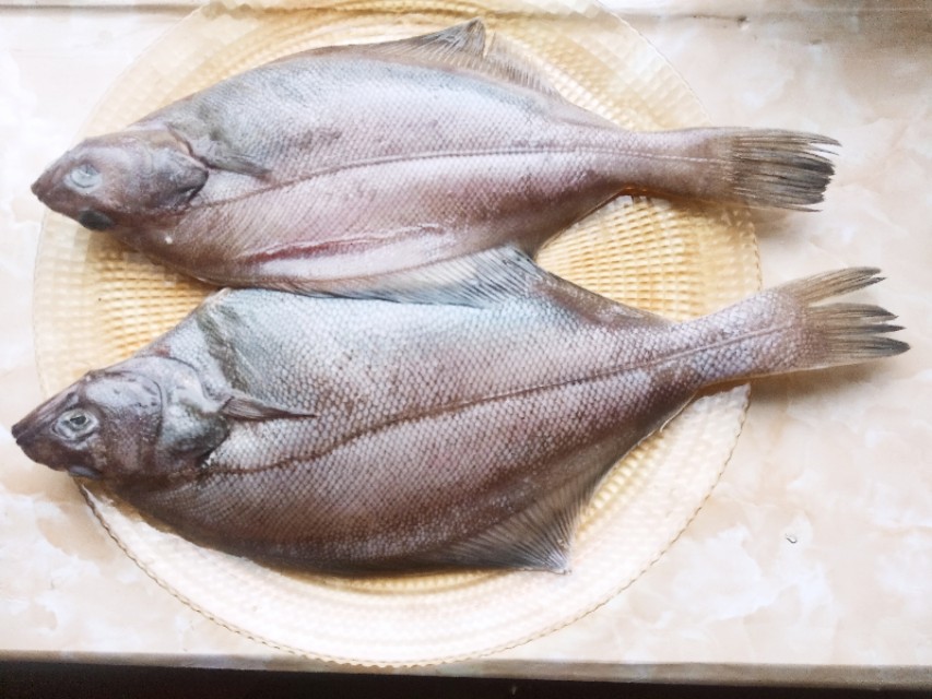 大连人管这鱼叫长脖山东人叫高眼最适合用来煎炸