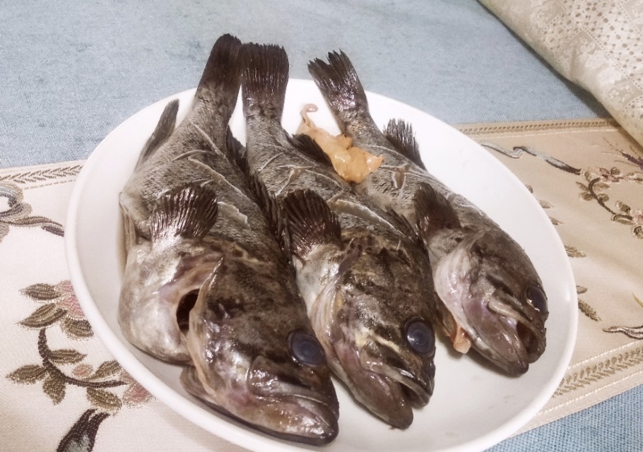 钓鱼爱好者最爱钓这鱼,用来做汤或清炖,味道特别鲜美